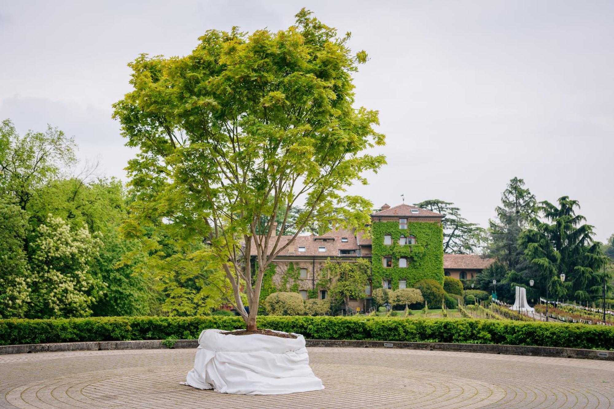 L'Albereta Relais & Chateaux Hotel Erbusco Kültér fotó